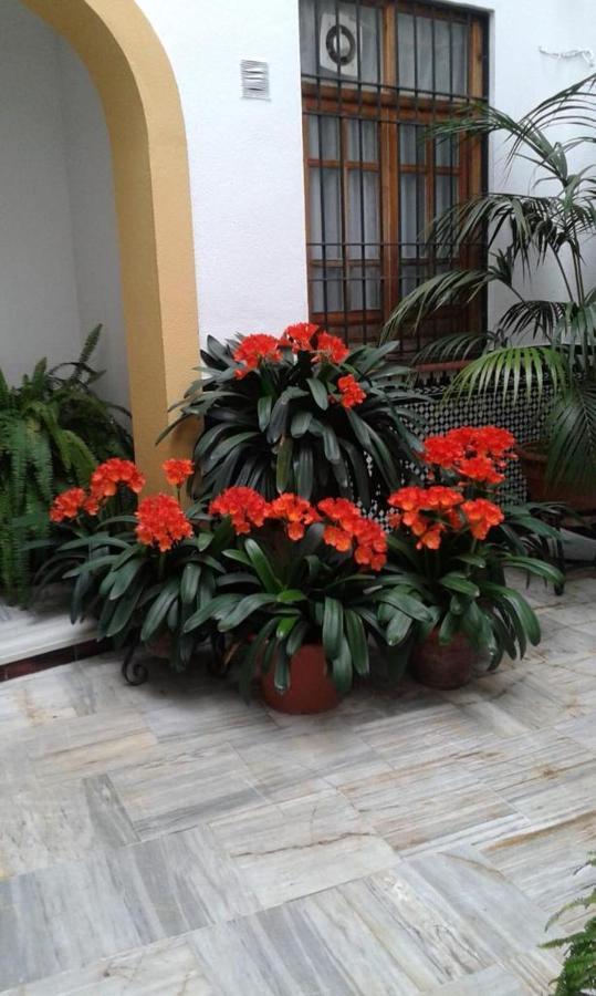 Cordoba Centro Esencia Cordobesa. Mezquita Apartment ภายนอก รูปภาพ